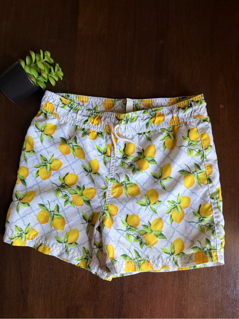 Janie And Jack Lemon Print Swim Trunks Short Size 5